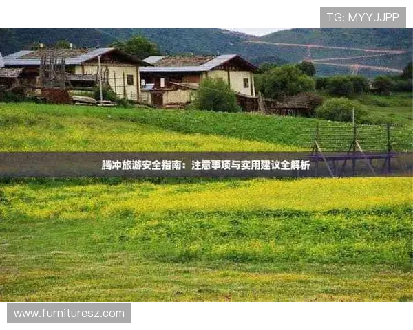 电玩游戏视讯平台的安全性分析保障用户隐私与账号安全的实用建议