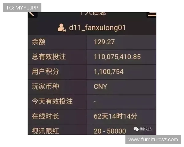 掌握百家乐路单的规则与技巧，提升你的游戏分析能力和获胜几率